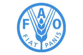 FAO